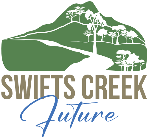 Swifts Creek Future